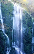 31st Mar 2021 - Llanberis Waterfall in part........