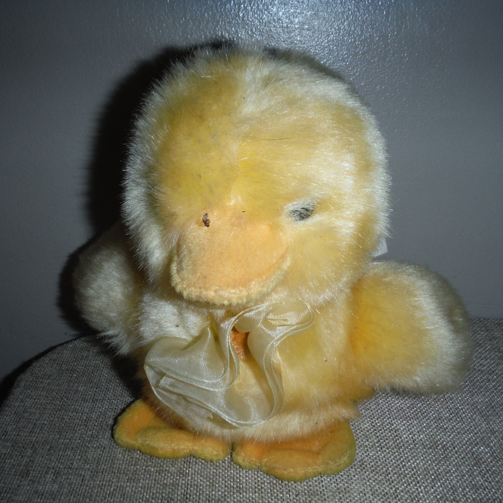 Fluffy Yellow Chick by spanishliz