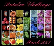 31st Mar 2021 - Rainbow Challenge 2021