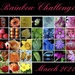 Rainbow Challenge 2021 by carole_sandford