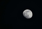 25th Mar 2021 - Random Moon Shot