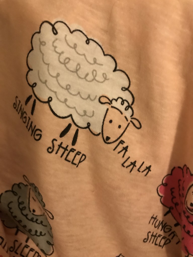 Sheep by tatra