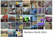 31st Mar 2021 - Rainbow