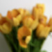blurred tulips by summerfield