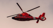 31st Mar 2021 - Coast Guard to the Rescue!