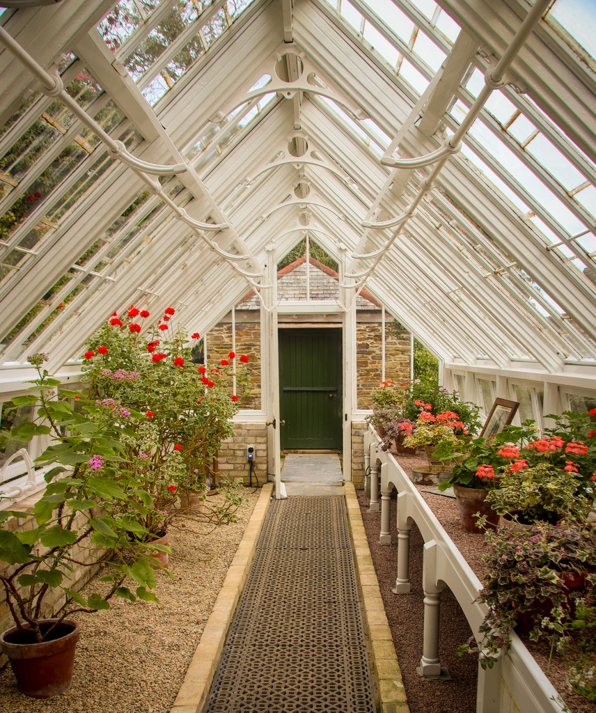Heligan Greenhouse by swillinbillyflynn
