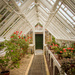 Heligan Greenhouse by swillinbillyflynn