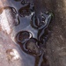 Little puddle abstract... by marlboromaam