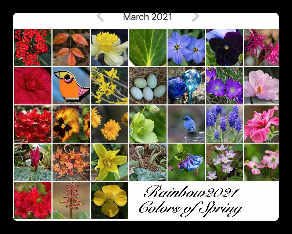 LHG-rainbow of Spring colors by rontu