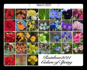 1st Apr 2021 - LHG-rainbow of Spring colors