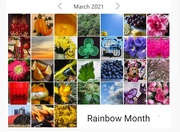 1st Apr 2021 - My rainbow month