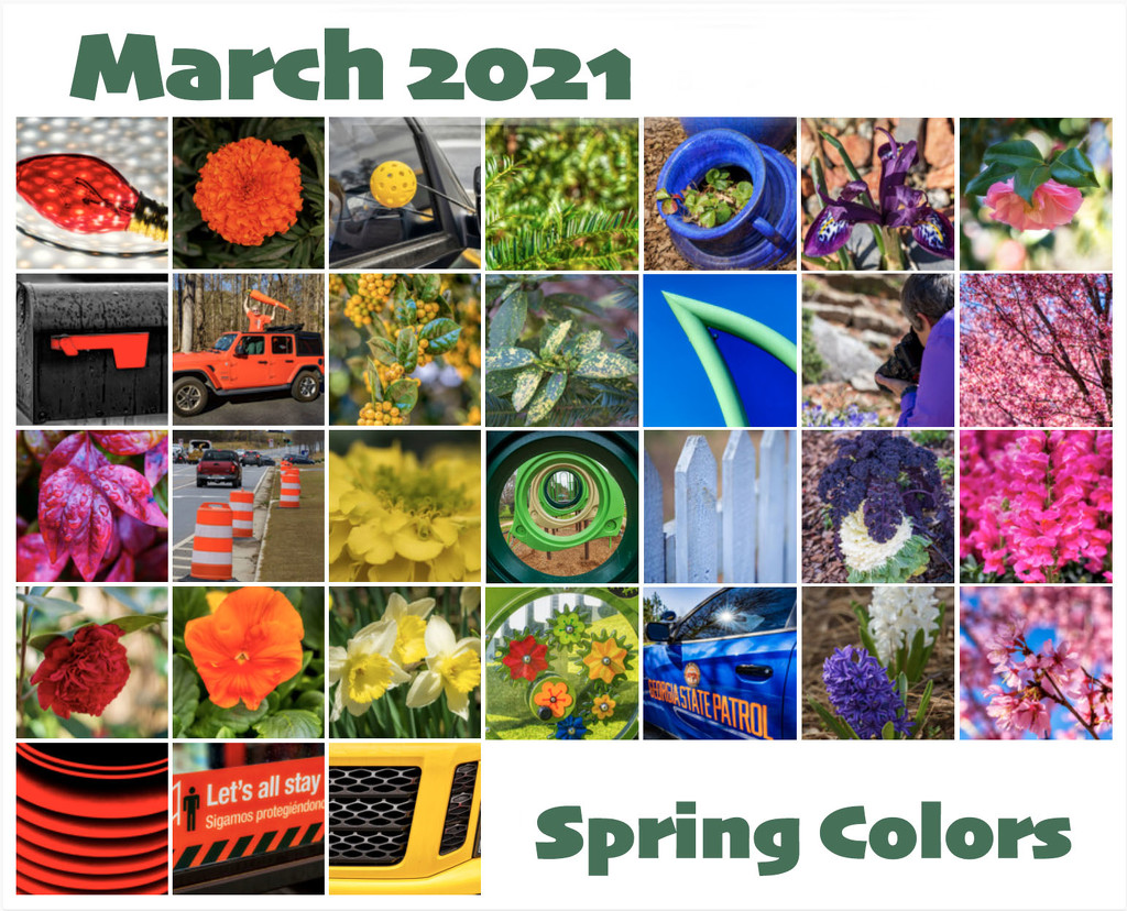 March Spring Colors  by kvphoto