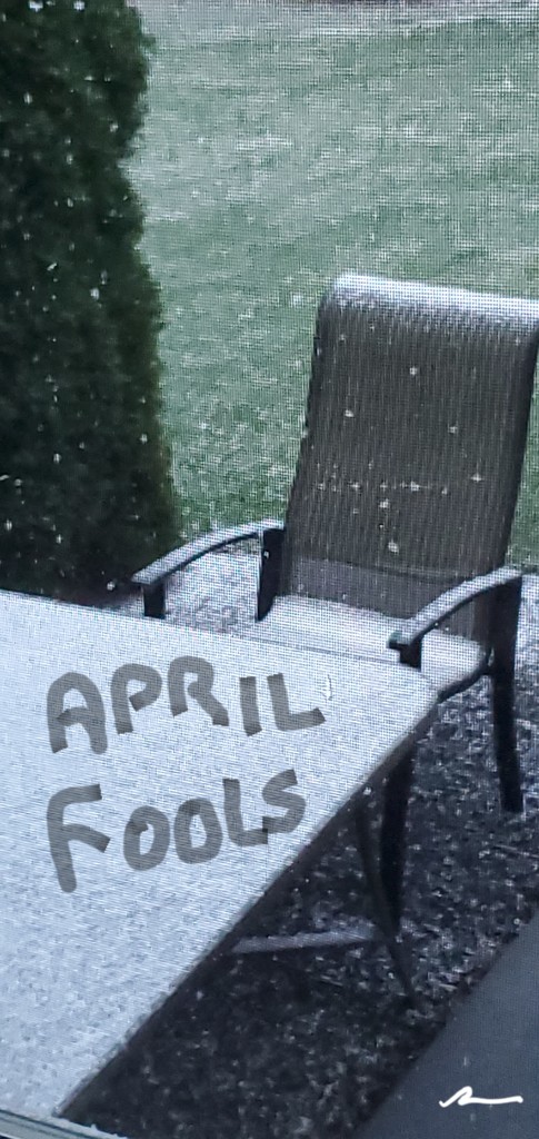 April Fools  by skipt07