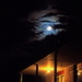 Moonlight Home #1 ( Definitely BOB) by kgolab
