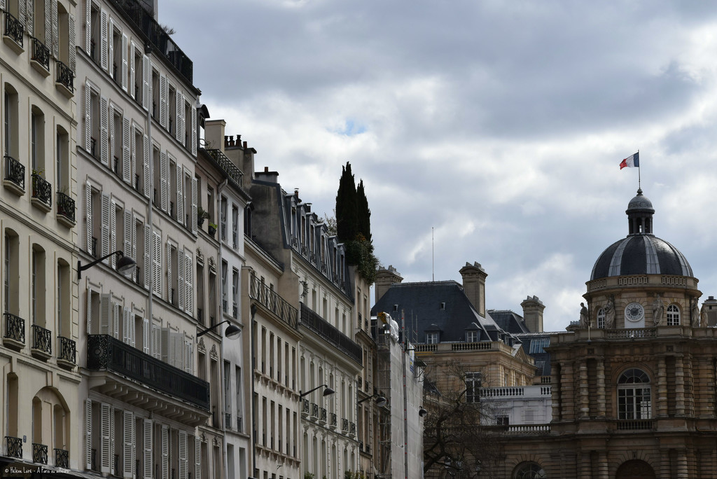 rue de Tournon by parisouailleurs