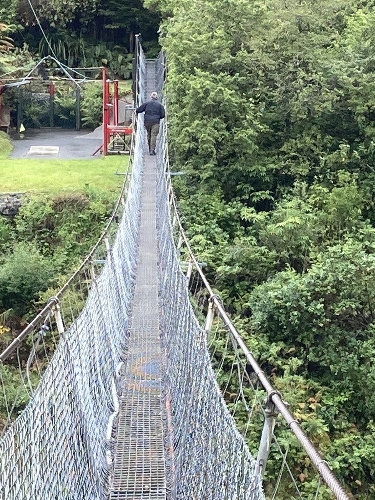 The longest swing bridge in NZ  by Dawn
