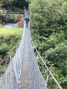 3rd Apr 2021 - The longest swing bridge in NZ 