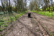 3rd Apr 2021 - Along the path......