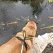 Watching the Fishes by bulldog