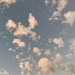 Evening Sky by narayani