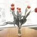 Apr3 Tulips with selective colour by delboy207