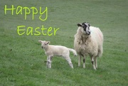 4th Apr 2021 - Happy Easter!