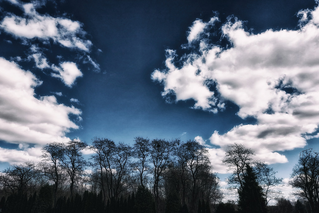 Blue sky by nmamaly