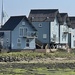 Homes in Gosport by bill_gk
