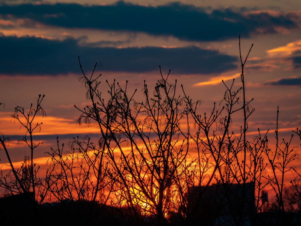 Over the roofs  by haskar