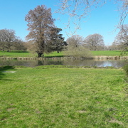 2nd Apr 2021 - The Vyne