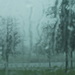 Raining  by eg365projectorgmoartt