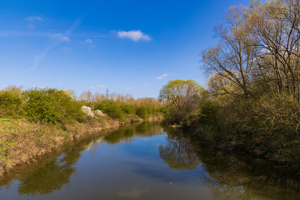 River Lee Country Park by peadar