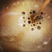 Coffee eyes by mastermek