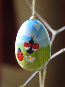 5th Apr 2021 - Ladybird egg from my Easter Branch