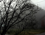 5th Apr 2021 - A foggy morning.