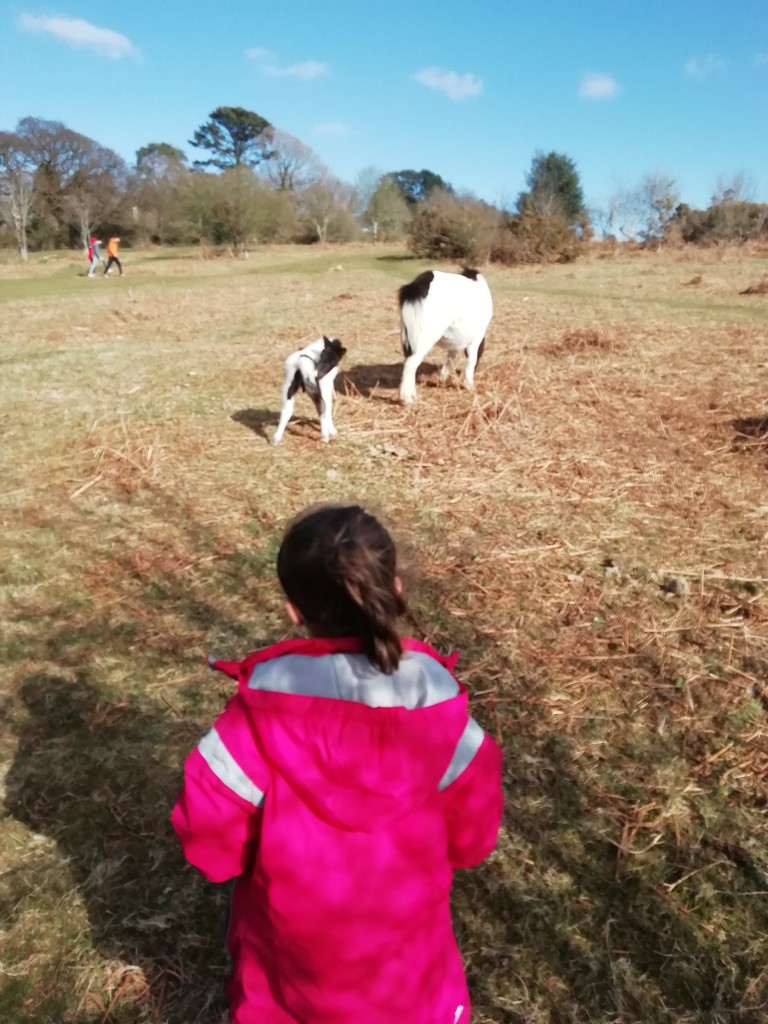 Easter Monday walk on Whitchurch Down.  by jennymdennis