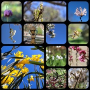 5th Apr 2021 - Barnsdale Gardens Collage