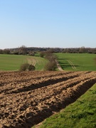 29th Mar 2021 - Ploughed