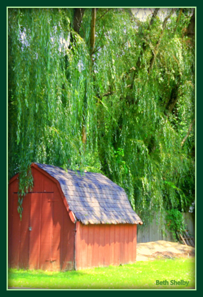 Red Shed by vernabeth