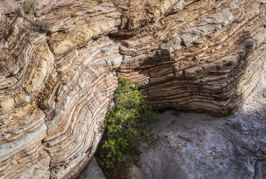 Ernst Tenaja Canyon by kvphoto