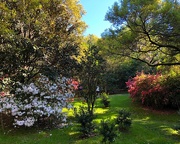 6th Apr 2021 - Idyllic Spring landscape at the park