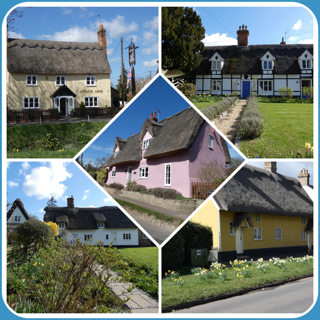 Local Thatched Cottages by foxes37