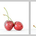 Cherries by rustymonkey
