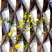 Flowers next to the wall of a house by kork