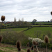 View from Berrow Hill by 365projectorglisa