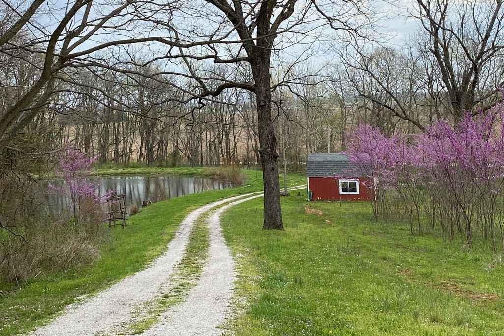 A friend's driveway by tunia