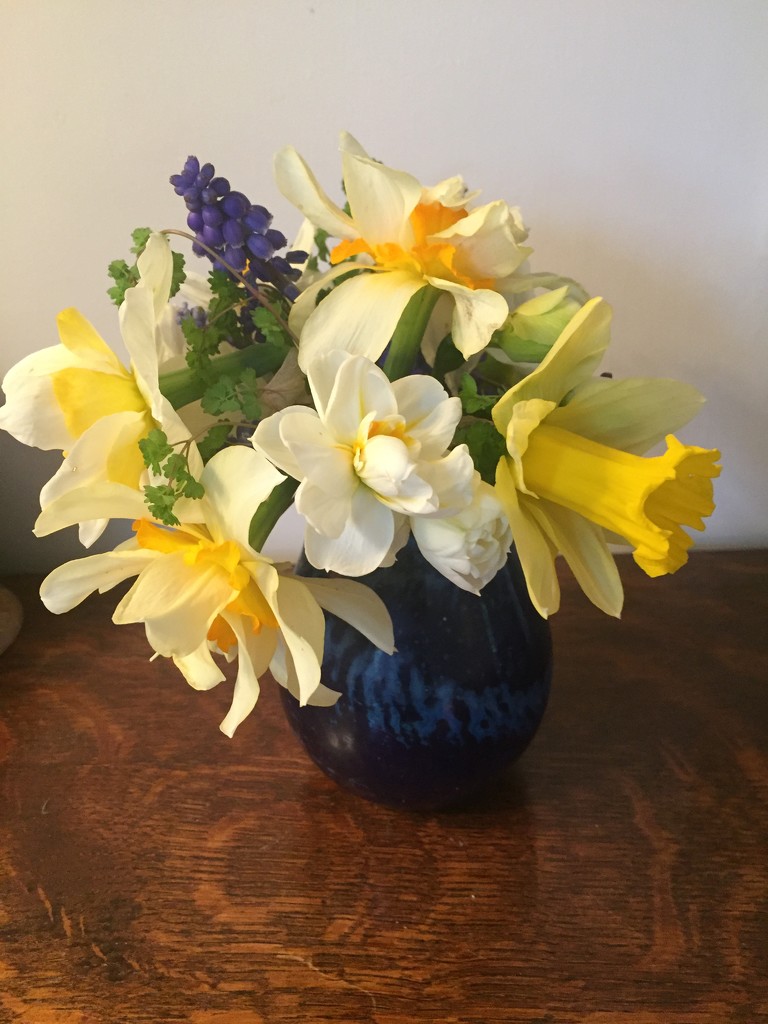 Flowers from the garden  by snowy