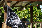 7th Apr 2021 - Pirate flag