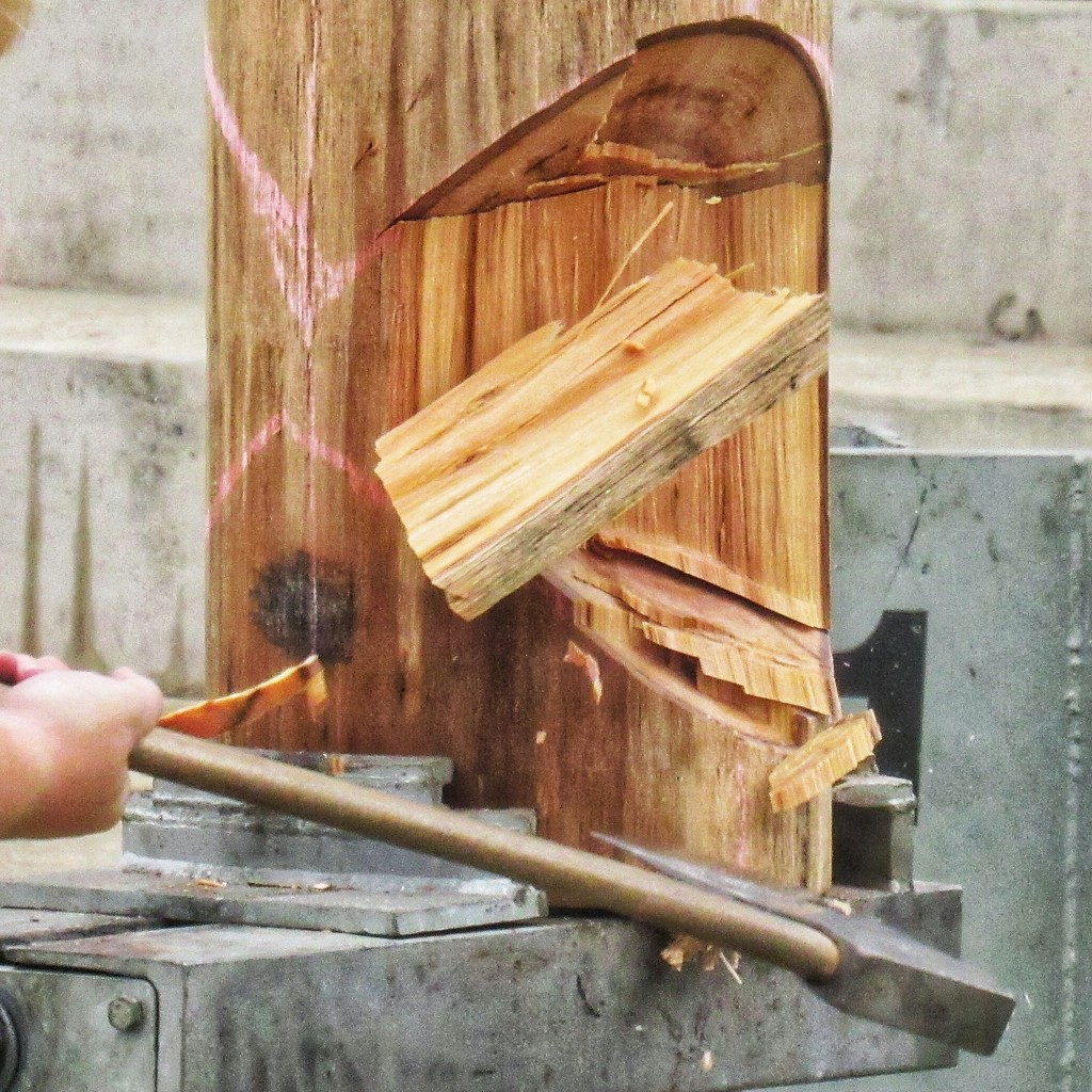 Capture 52 freeze motion. RAS wood chopping competition at the Royal Easter Show by johnfalconer