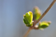 7th Apr 2021 - Signs of Spring